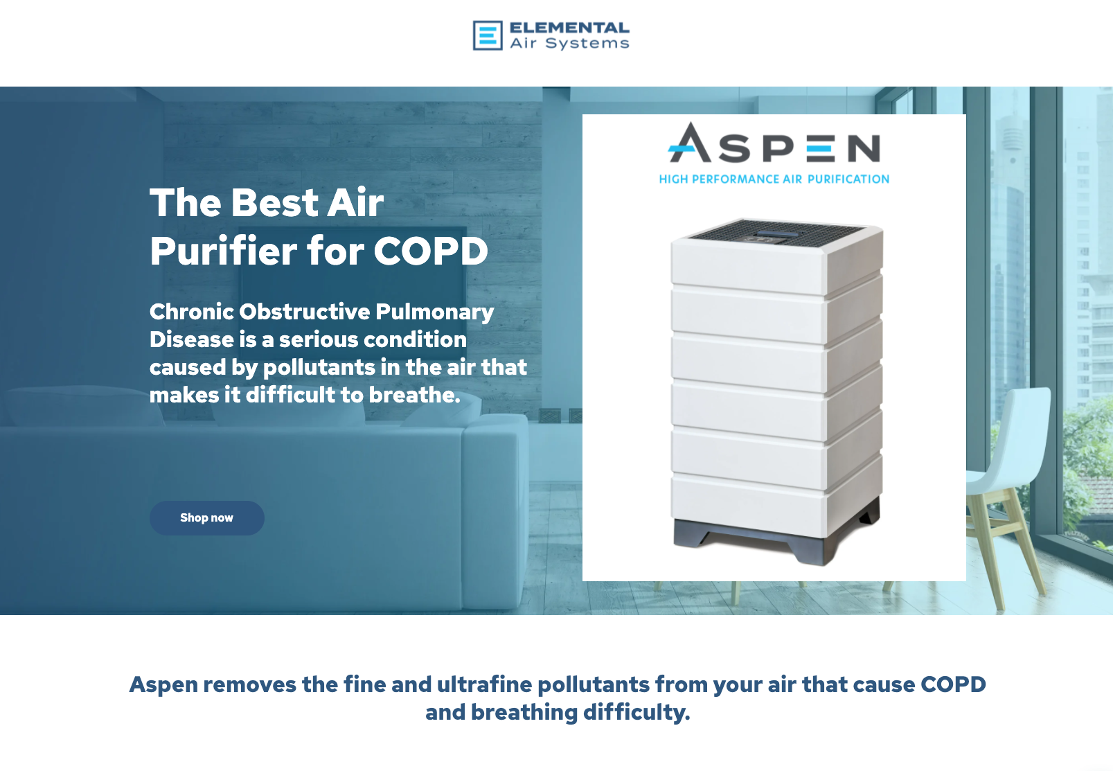 What Is The Best Air Purifier For Someone With Copd Aspen Air Purifier COPD